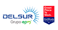 Distribuidora de Electricidad DELSUR S.A de C.V.